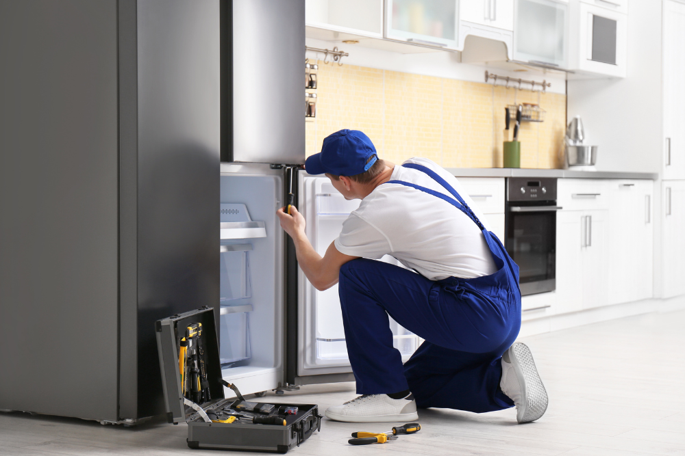 Home refrigerator repair